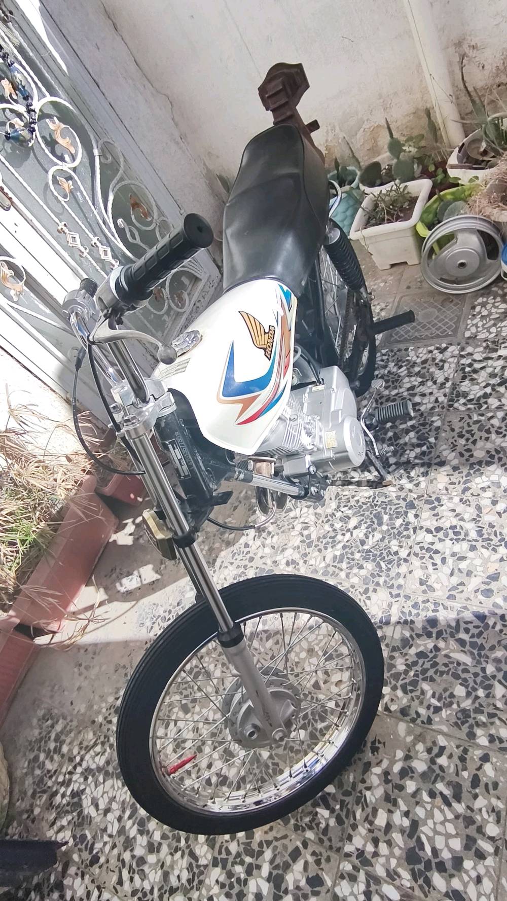 تفاصيل موجودة بالصورة