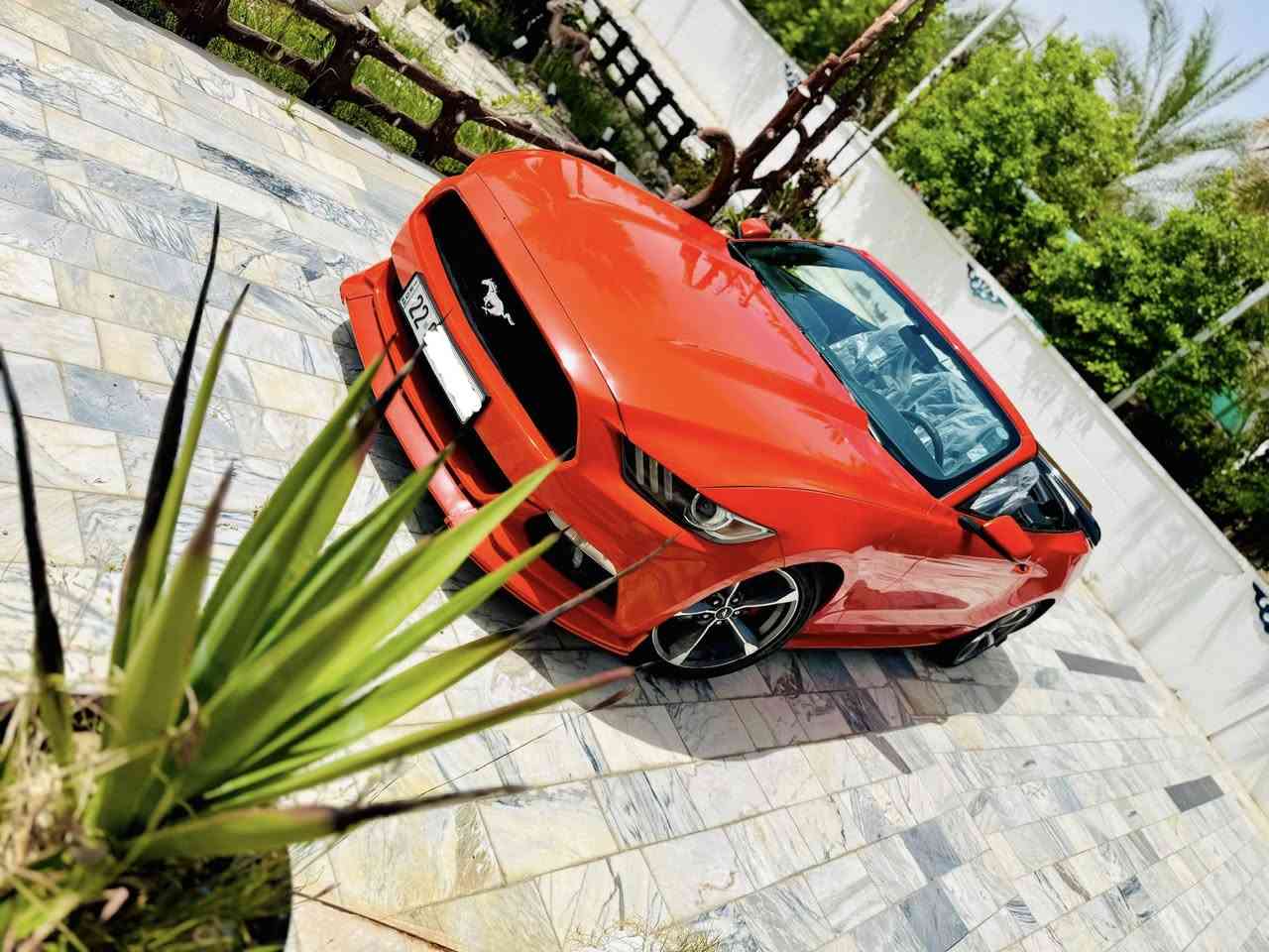 سلام عليكم شباب
للي يدور شي نظيف حصرآ بسعر مرتب
فورد موستنك للبيع 2015 كشف قطعه وحده صبغ فقط واستعمال شخصي

اللون مميز برتقالي مائل للاحمر 🧡
الفئة V6  3700كولشي بلادي عدا اظافات خفيفة اني مسويه
رقم اربيل الدولي بااسمي (رقم و سنوية جديدة)

✅ماشية 80
✅ السيارة جديدة كاملة وبدون نقص
✅ منظومة أكزوزت HT تحكم ريمونت شادهن قبل اسبوعين
✅ مبرمجه بلكاامل يم طلال كراج 4 brothers
✅كشف نظيف
✅ سبايدر +لحيه+دفيوزر سرفيني
✅ محرك وكير وأكسل بشرط 
✅فول تحكمات ستيرن
✅كامره دوارة
✅تشغيل عن بعد
✅بلاجكتور (كشاف) بلاد +منظومه زنون  زرع عدسات لايته يعمي  
✅تحكم كرسي كهرباء

✅✅ السيارة داخله كلين بلعراق صاير بيه طخه خفيفه بحافه لبنيد ومصبوغ فققققط بدون ايرباك بدون اي داخل 
 ✅السيارة نظيفة حيل و متعوب عليها و مصروف عليها هواية ومكمله لاااخير حبايه، الدهن بس أصلي و البانزين بس محسن.

السيارة بأسمي بشرط التحويل
مكانه حله

✅سعرها 148 مجال بسيط

🚫 ع ايدي مانازله ساحه استعمال شخصي واخت الكلين.

للاستفسار أتصال أو واتساب
***********
