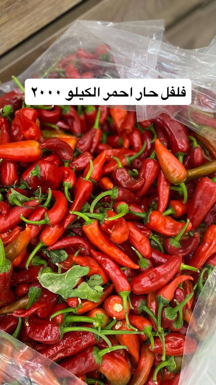 قسم الخضروات


**إذا كنت صاحب هذا الإعلان وتريد حذفه لأي سبب، رجاءا أرسل رسالة إلى الدعم الفني**