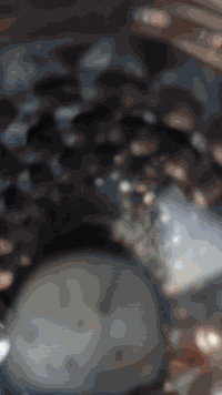 MTR 2015 • اوراق اصولي • الرميثة