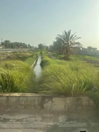 ٤ دونم • سند مستقل • الشيخ عامر