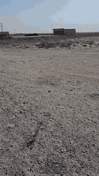 يوجد ارض تجارية للبيع سعر نقد
الموقع خط السريع  ماقبل سايلو سامراء 
المساحة 4000 الف متر 
الوجهة 160 متر 
نزال 25 متر 
البيع الوجه بدون نزال 
الارض ركن 
تصلح جملون او مرشات  او علوا مخضر 
علا عقد 135 خارج حدود البلدية 
بيه محرم 8 دوانم هاي مجاني وي الارض 
الاتصال ياسر الطاكية ***********
الموقع كلش حلو مال استثمار
