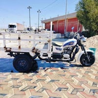 ستوته • موديل ١٨ • اوراق اصولي