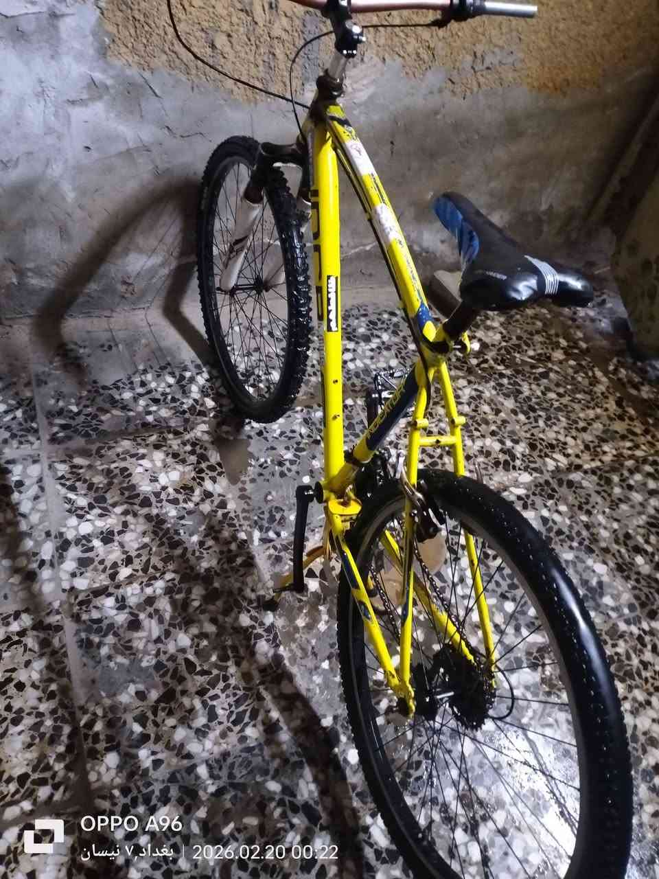 السلام عليكم وشكل للبيع رياضي العنوان بغداد مدينه الصدر حيدر الرقم ***********
