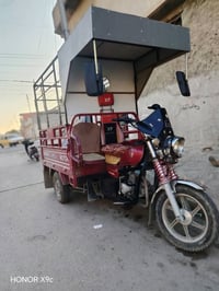 ستوته • ٢٠٢٣ • شرط كشي
