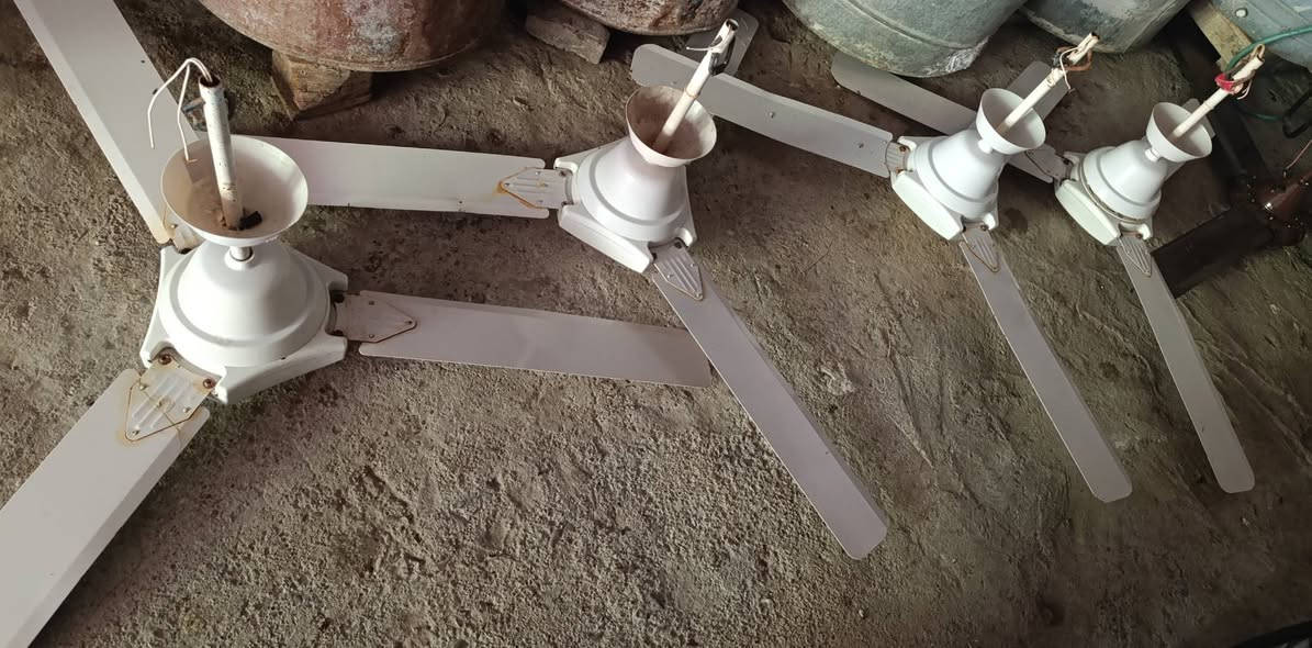چوار پانکەی سەقفی بەشەرتی ئێیش کردن
شوێن شارەزوور 
دانەی بە ١٥ هەزار


**إذا كنت صاحب هذا الإعلان وتريد حذفه لأي سبب، رجاءا أرسل رسالة إلى الدعم الفني**