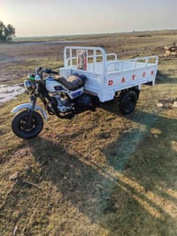 ستوته اللبيع مديل 2019مكفواله كفاله عمه اسعر 1500اشراي يتصل 0782558562...