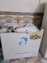 مجمدة • شغالة • ع ضمان