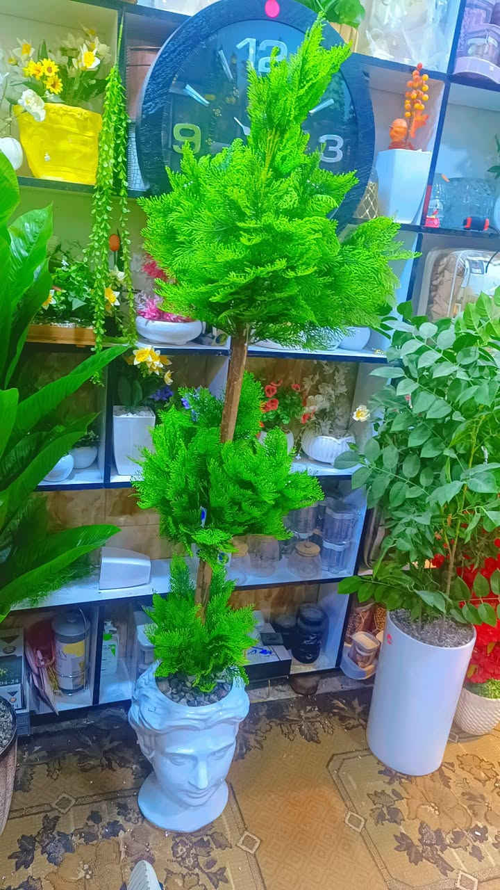 💐💐🪴🌿🌿🌿سعر 45


**إذا كنت صاحب هذا الإعلان وتريد حذفه لأي سبب، رجاءا أرسل رسالة إلى الدعم الفني**