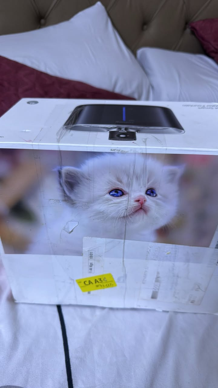 مستلزمات قطة كوشة مناك القطة زائد نافورة ماستر لشرب الماء


**إذا كنت صاحب هذا الإعلان وتريد حذفه لأي سبب، رجاءا أرسل رسالة إلى الدعم الفني**