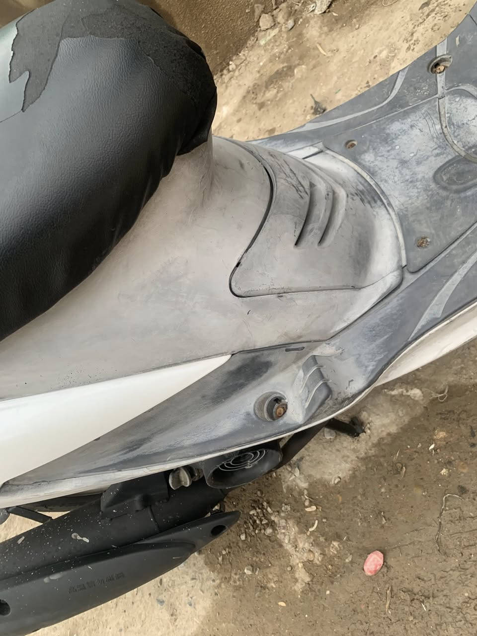 سلام عليكم ماكس منغولي كلها ملاح نكره سلف وعندو عوزها شوي ترتيب مكاني مدينه صدر اوراق كامله ومنفيس سعرها 500 وبيها مجال ***********
