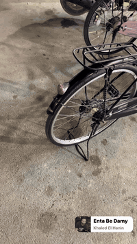 سلام عليكم
بايسكل شركه سانتوس

موديل2020

بايسكل نضيف 

سعره هوا وغراض سعر 

بدون غراض سعر ثاني

سعر خاص جاملغ امامي موجود وال بريك امامي موجود 

رقمي للاستفسار ***********
