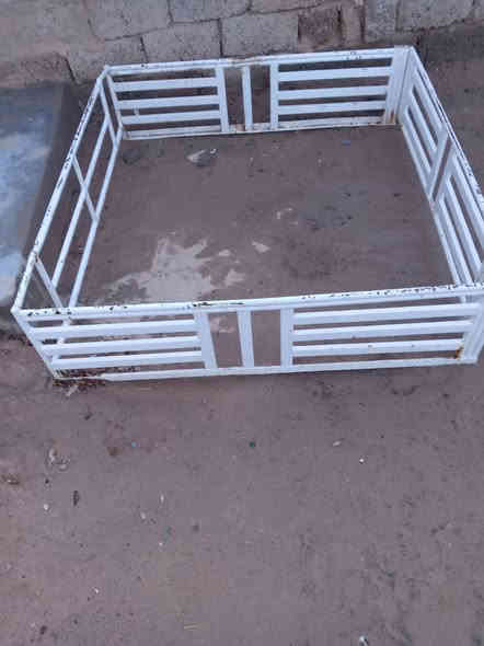 سلام عليكم محجل للبيع ***********
