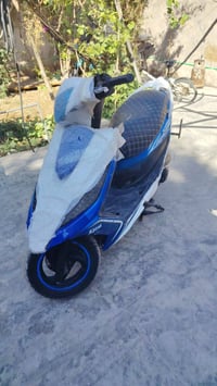 نحله • ٢٠١٤ • نضيف