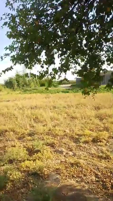 سلام وعليكم 4 دوانم الاستفسار  ***********
