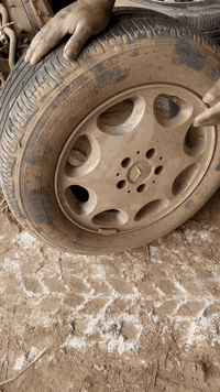 تخم ويل گامل جديد شرط وارد مامشي بالعراق كيلو واحد هوا وتايره  0783881...