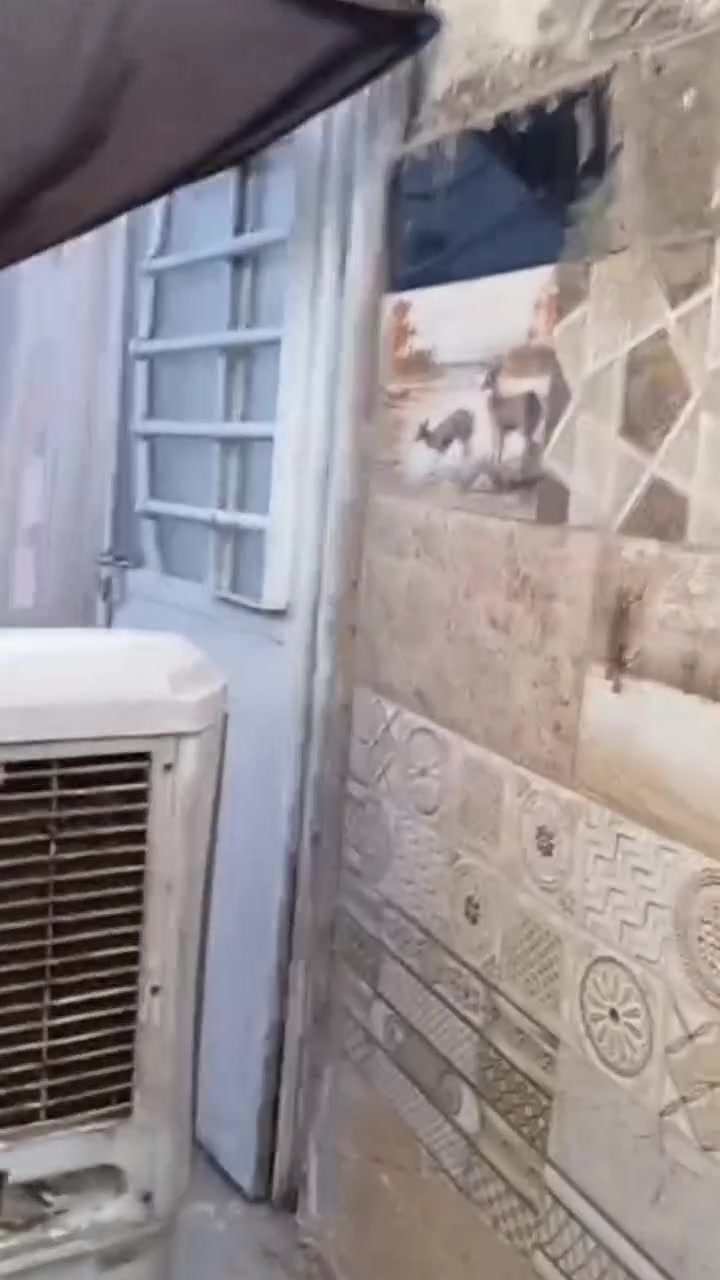 بيت لايجار أو لبيع بسبع قصور بكاع لميسح مساحته 60 متر


**إذا كنت صاحب هذا الإعلان وتريد حذفه لأي سبب، رجاءا أرسل رسالة إلى الدعم الفني**