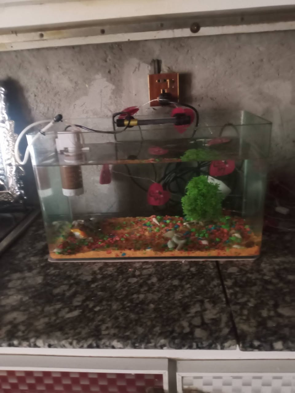 السلام عليكم طبله وحوض مال سمك للبيع***********
