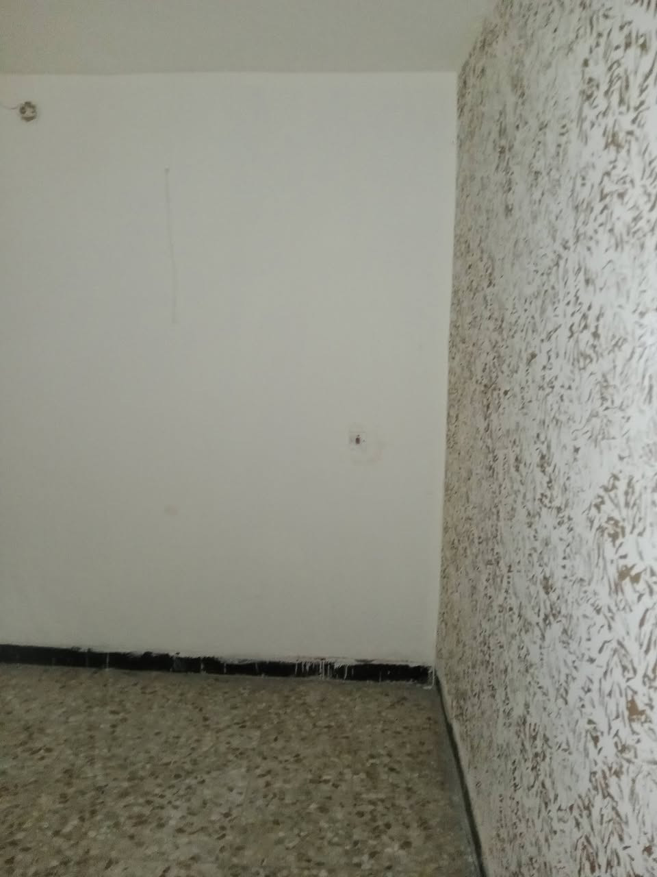 بيت الايجار شارع 80مجاور حلويات قصر الشام لاستفسار لاتصال أوالمراسلة الرقم ***********
