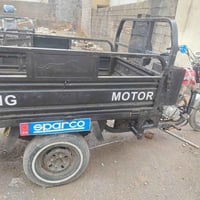 ستوتة • ٢٠١٩ • أوراق كاملة