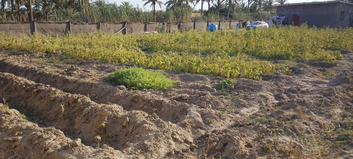 السلام عليكم دونم للبيع في فرع المصلخ ثاني قطعه تبعد عن للشارع 20متر متوفر كافه للخدما ت من ماء و كهرباء ومولد سحب مسيج بالكامل واذا تريد نص دونم هم موجود الاتصال على الرقم خاص ماكو ***********

