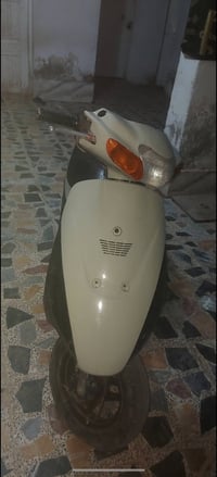 ذبانه • جنطه • نضيفه