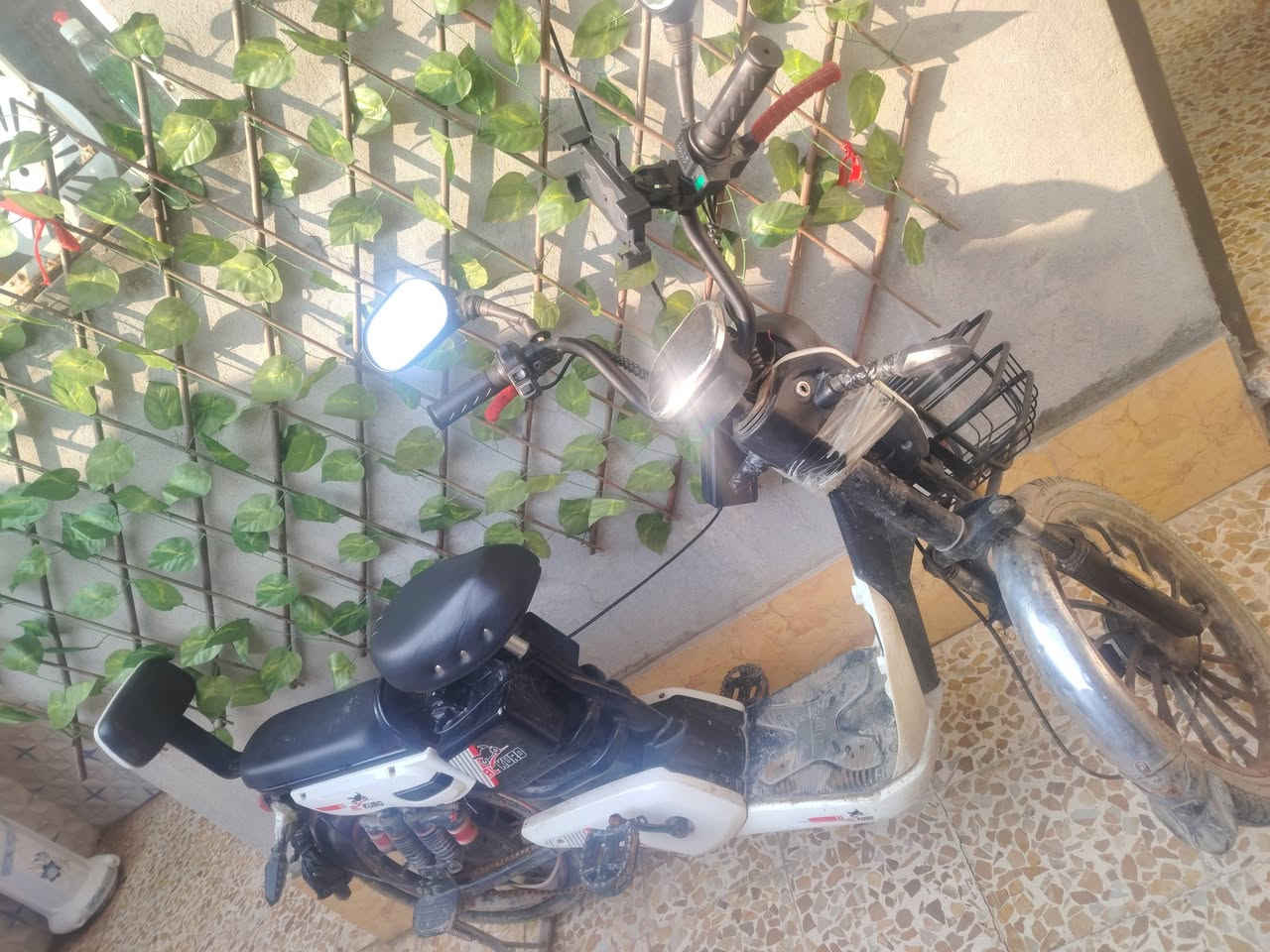 حجم 20 يرادله ترتيب بطاريه من الاربجيه الى جامعه توديك و جيبك


**إذا كنت صاحب هذا الإعلان وتريد حذفه لأي سبب، رجاءا أرسل رسالة إلى الدعم الفني**