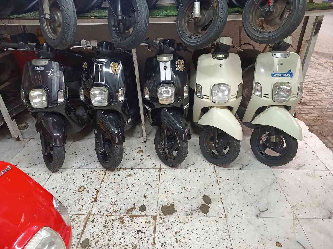 رمبات كوت حي جهاد ‭٠٧٧٥ ٩٥٧ ٩٦٤٤‬
