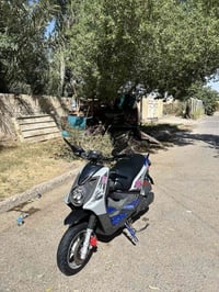 سكنس جبلي • كفالة عامة • الزعفرانية بغداد