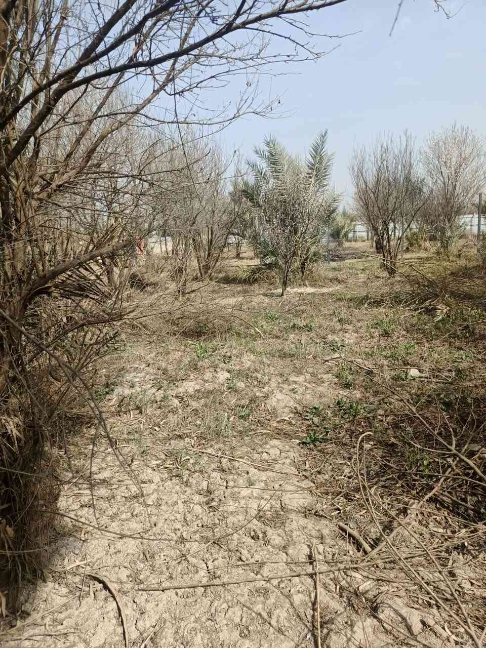 سلام عليكم للبيع 1000 متر واجه 25 نزال 40 بغداد الراشدية قرية العراكنة تبعد عن ناحية  ساعة وعن شارع العام طريق بغداد كركوك كيلو كهرباء ماء سقي ماء اساله تصلح سكن او مزرعة تحويل مباشر بسم المشتري وليس قرار محكمه سعر 60 وبي مجال جدا بصيط ***********
