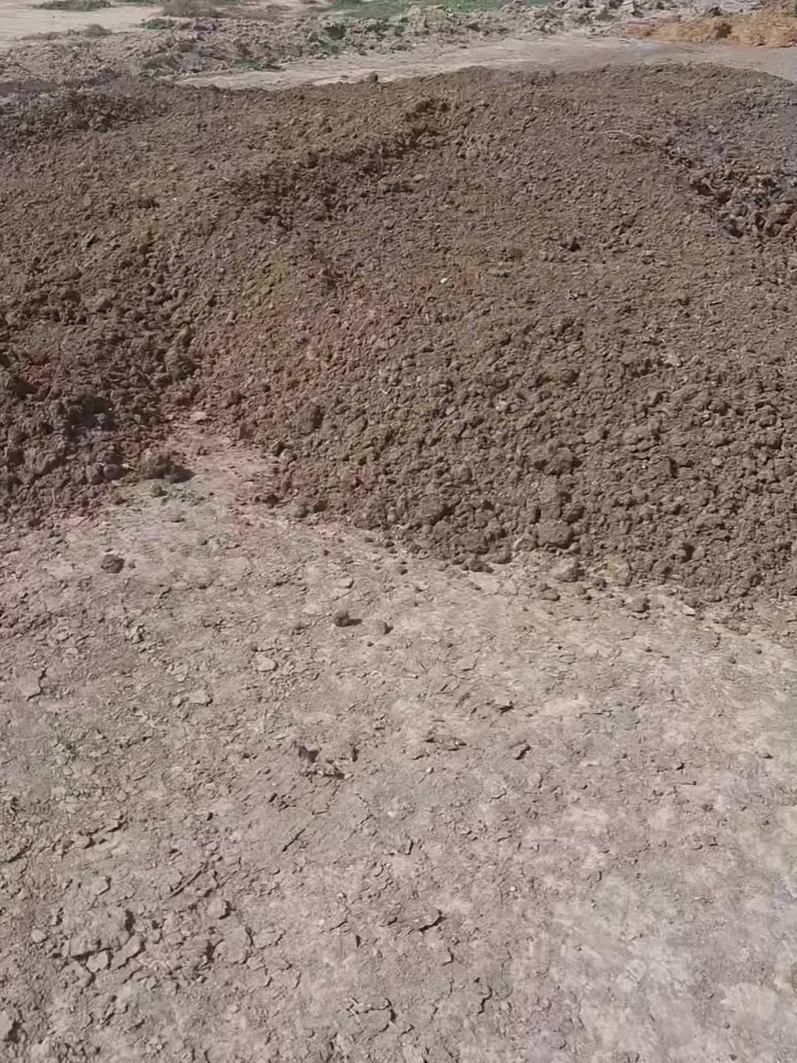 دمن دواجن درجه اولى مامخبوط توصيل بغداد ديالى وصلاح الدين موقعي ديالى الخالص السعار حسب المكان ابيع مطروح او واصل ت ***********  ها***********
