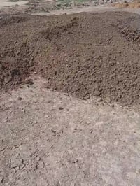 دمن دواجن • درجة اولى • ديالى الخالص