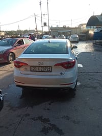 سوناتا امريكي • ٢٠١٧ • نجف