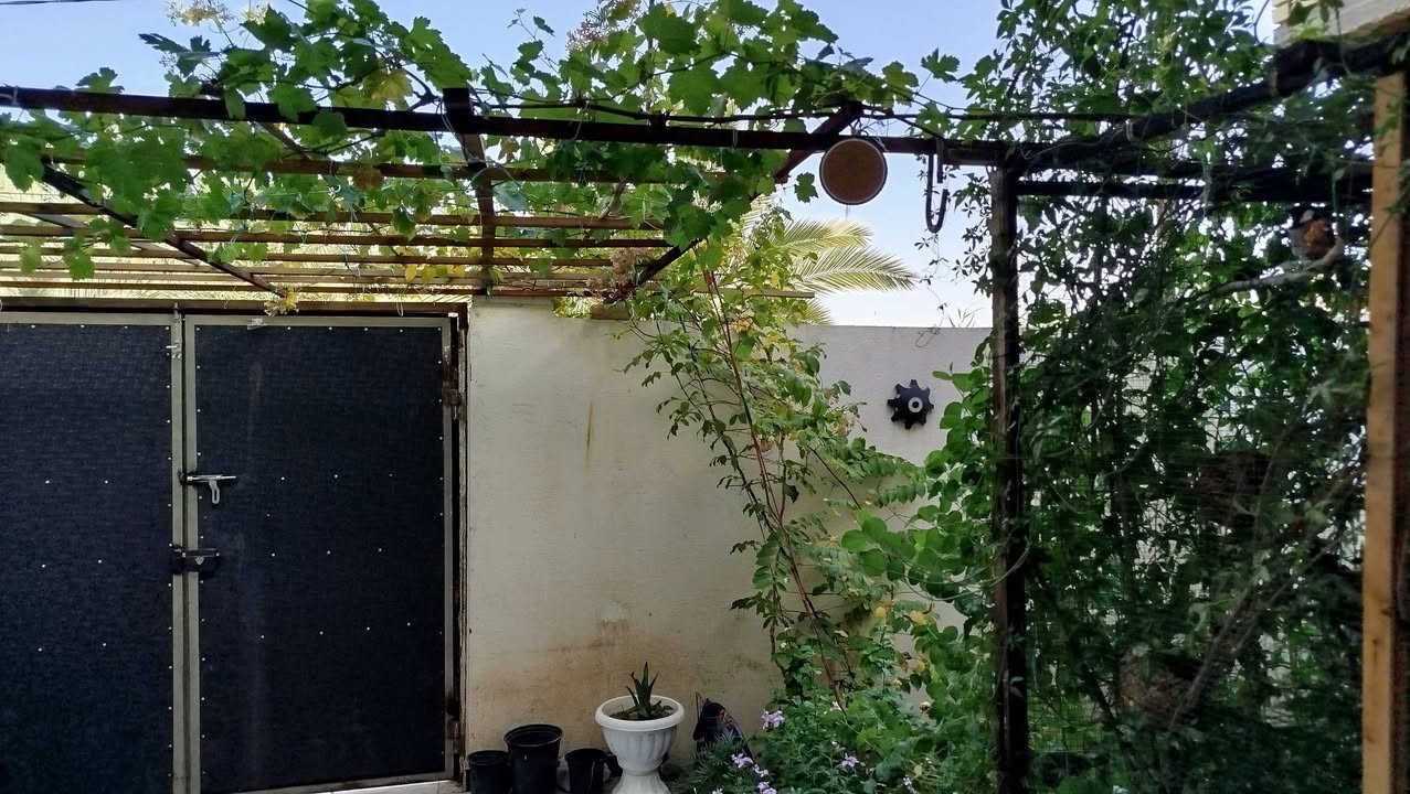 بيت  زراعي  مساحه 182 متر غرف نوم  عدد  2 استقبال  مطبخ صاله  صحيات داخلي وخارجي طابوق صب كونكريت مسلح ماء كهرباء  ثاني بيت عن التبليط قريب عل مدارس المكان سديناويه شارع سيد سلمان السعر 98 باقي التفاصيل اتصل ***********.   بي وات ساب
