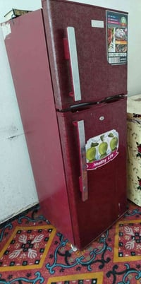 ١٢قدم • ثلاجة • جديدة