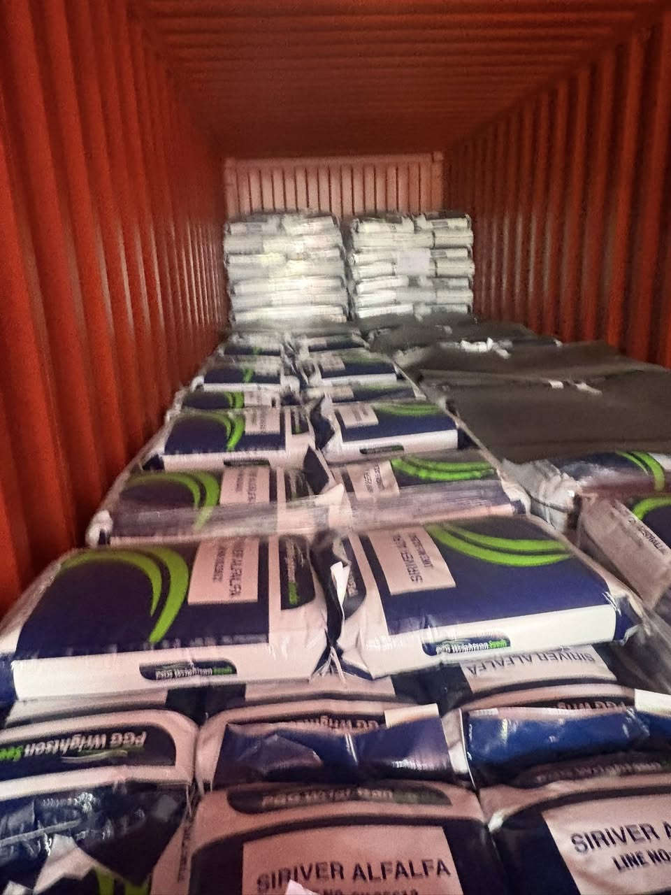 السلام عليكم 
يتوفر بذور جت استرالي الصنف الفاً سلفر من شركة pGGالاسترالية ملائم للأجواء العراقية  بغداد التاجي ***********
