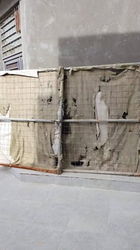 باب نضيف • مع الدنگ • ناصرية مركز