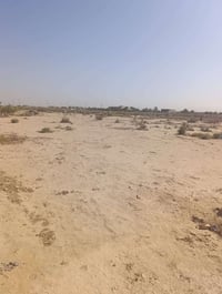 قطعة زراعية • ١٤٠٠م • ١٠٠٠م