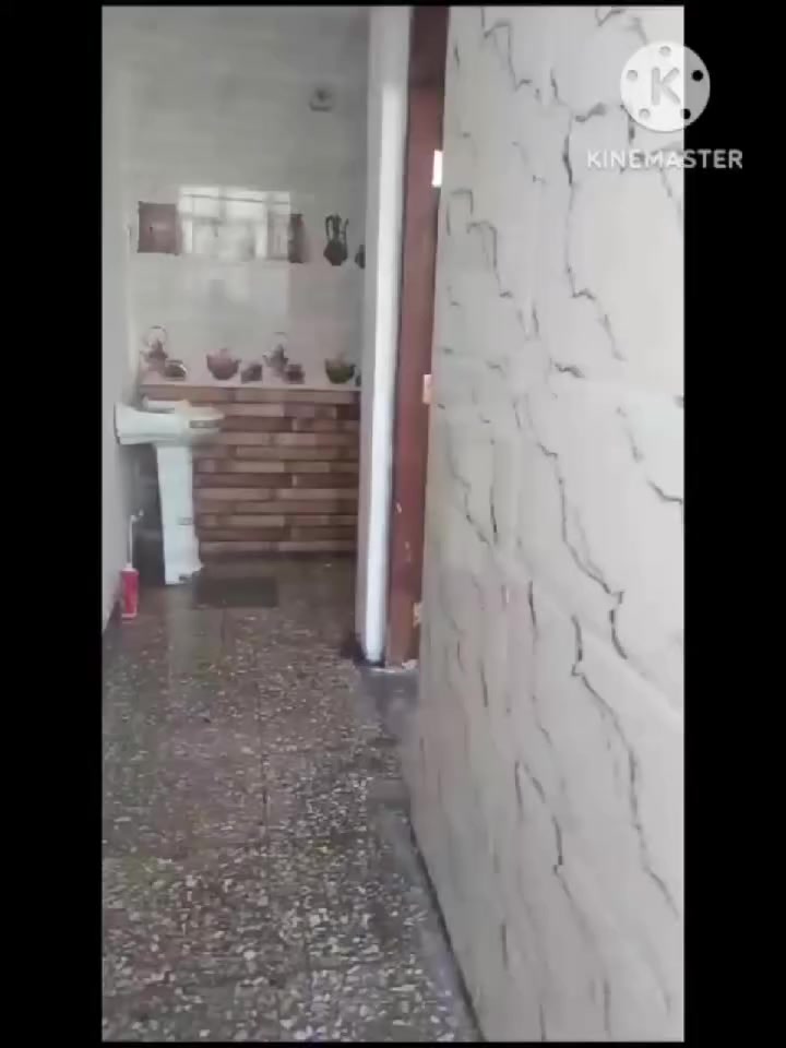 المكان ٤٠٠٠  بشارع  عشرين 
بصف عقارات الأمير
 قرب مدرسة سامراء
الرقم ***********
