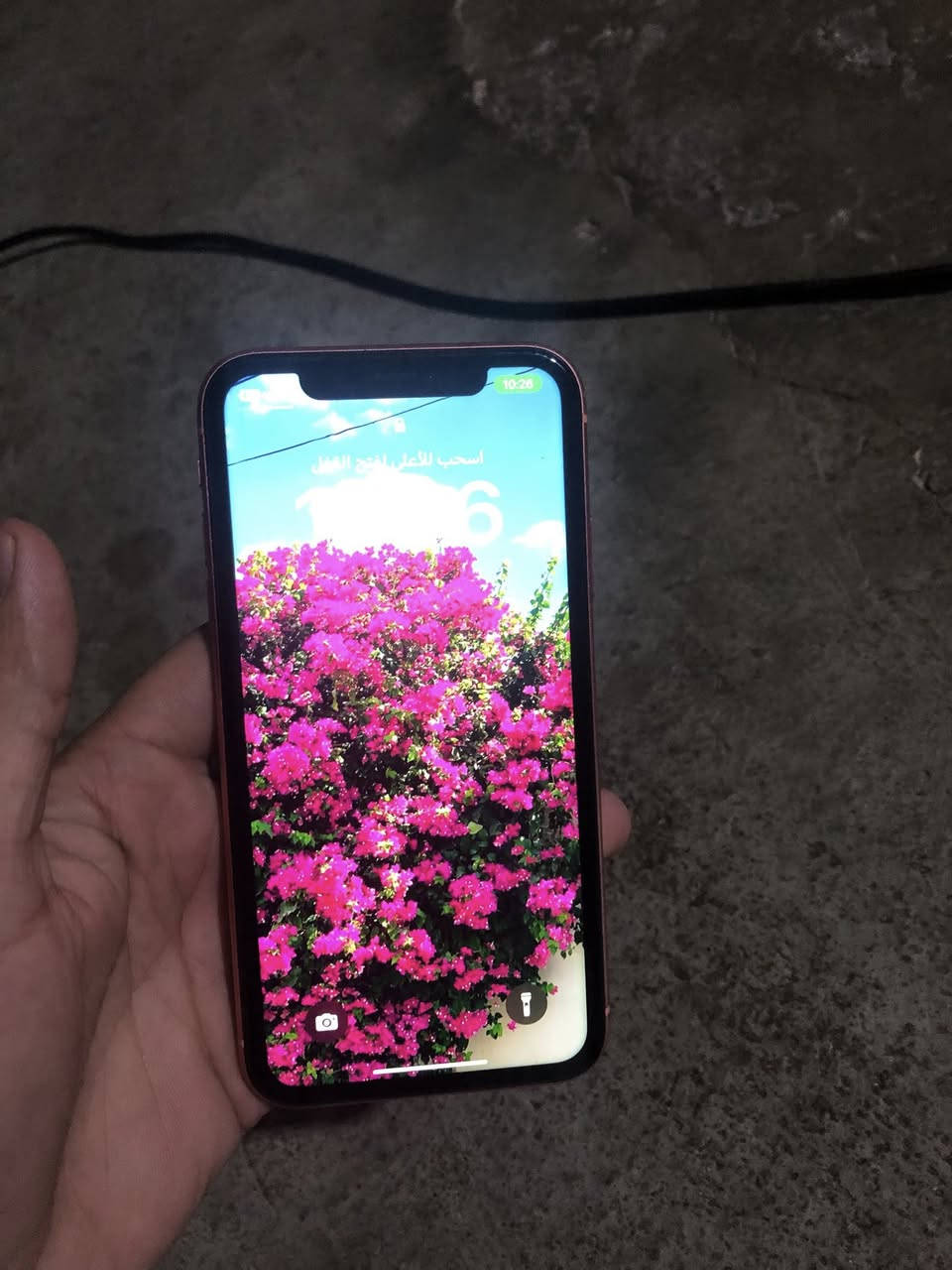 ايفون اكس ار ذاكره 64 بطاريه 78
كله بلادي للبيع سعر 170


**إذا كنت صاحب هذا الإعلان وتريد حذفه لأي سبب، رجاءا أرسل رسالة إلى الدعم الفني**