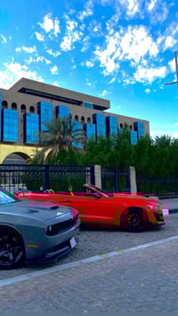 موستانغ كشف • ٢٠١٥ • بصرة