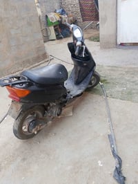 عصفورية • نظيفه • شغاله