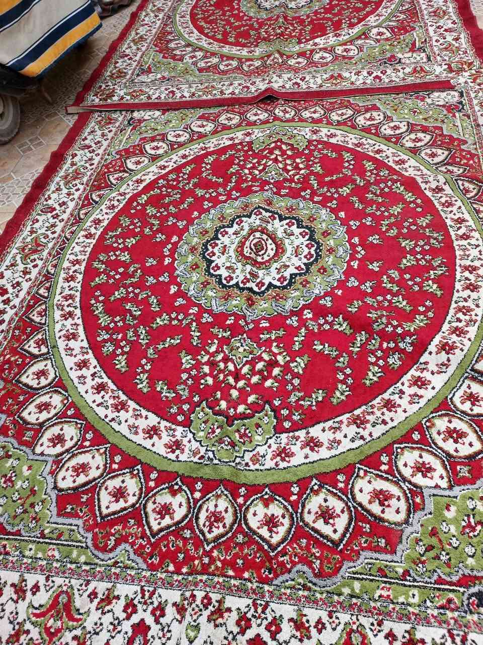 رقم راعيه ***********
