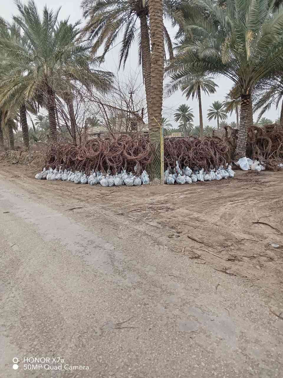 السلام عليكم يتوفر شتلات عنب للبيع جمله ومفرد النوع
حلواني
فرنسي
شده عراقيه
رئاسي
شده تركيه للاستفسار ***********
العنوان حله سياحي
