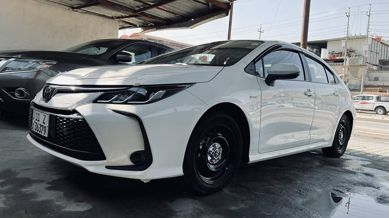 2024 ماشية 26 العنوان بصرة السعر 132 …….***********
