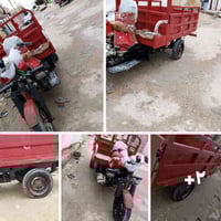 ستوته • ٢٠١٩ • بدون وراق