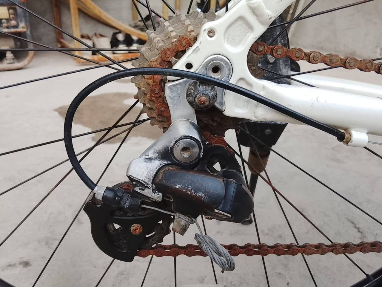 سلام عليكم c700 فافون جاهر 150وبيه مجال جوه 100مايصير بصره حمدان


**إذا كنت صاحب هذا الإعلان وتريد حذفه لأي سبب، رجاءا أرسل رسالة إلى الدعم الفني**