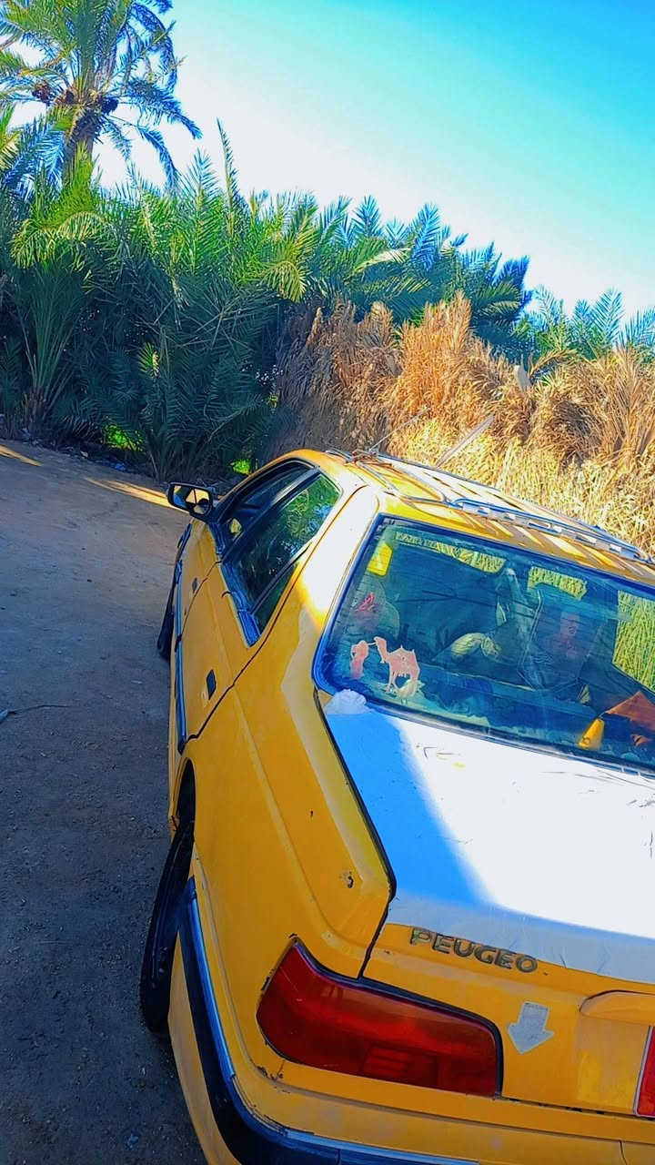 البيع او مراوس سعر 25 

***********
