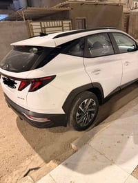 توسان • ٢٠٢١ • ارقام سليمانية