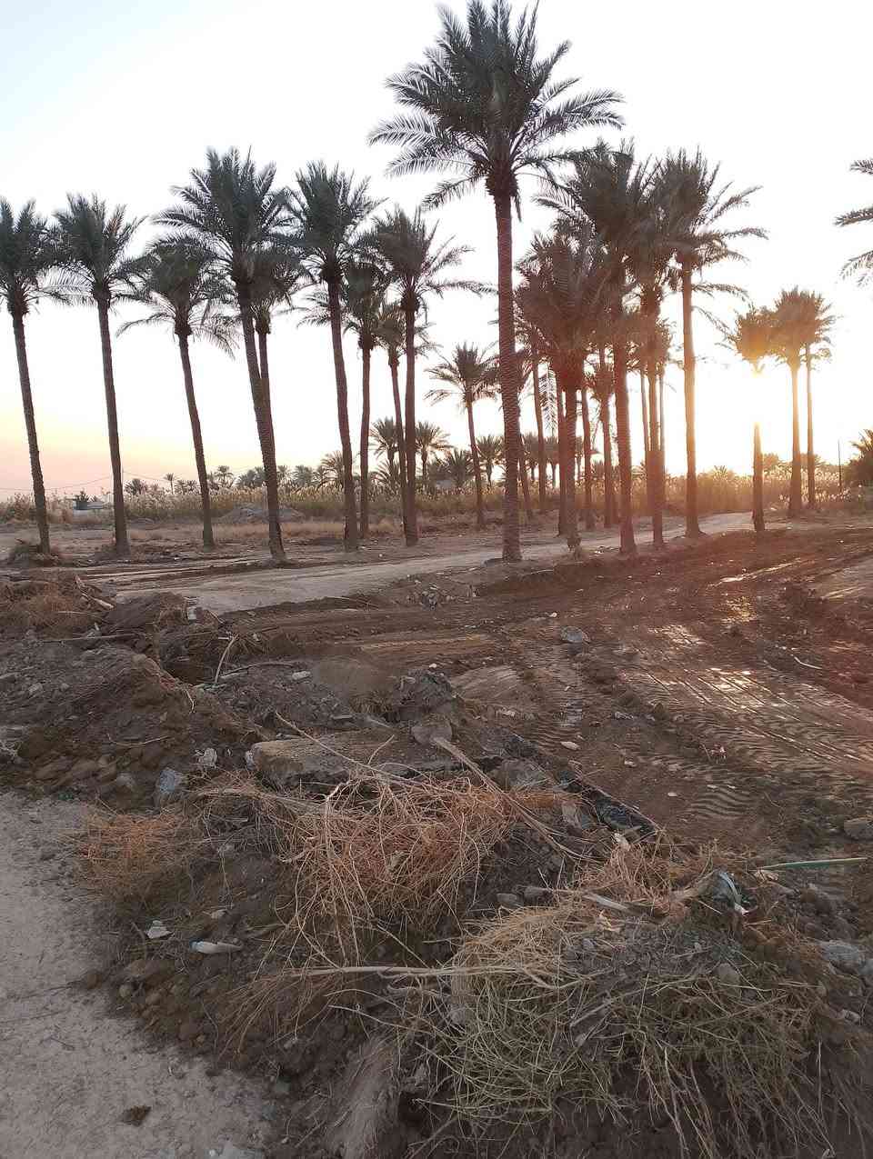 5 دوانم للبيع على سريع دوره يوسفيه مباشر كيلو 9 مجاور مجمع المرام والمزارع خدمات كامله واجهه 75 على خدمي لأستفسار ***********
